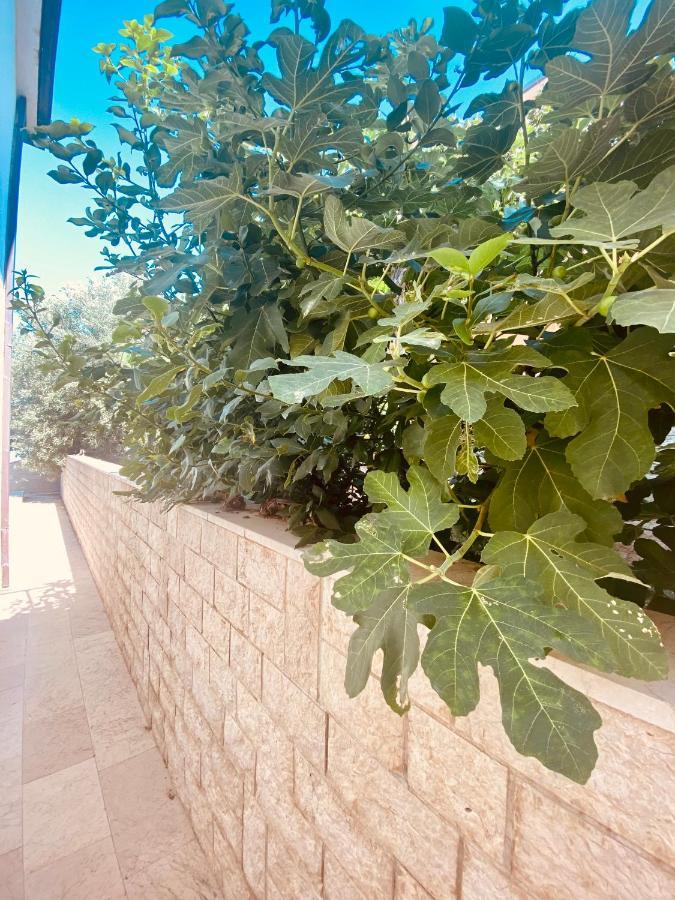 Hotel Buenavista Beach House Trogir Mastrinka Экстерьер фото